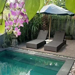 Accommodatie bij particulieren D'puja And